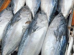 -鸿港海鲜批发市场