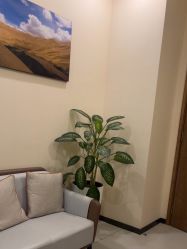 点击看大图 -北京米扬丽格医疗美容·联合丽格鼻整形中心