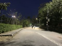 -拉威海鲜市场