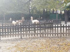 -南昌动物园