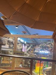 -卡通尼·Safari非洲探索乐园·生日会(金桥国际商业广场店)