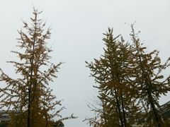 -福建师范大学(仓山校区)
