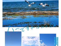 -青海湖国家重点风景名胜区