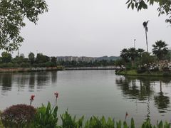 -枫香湖儿童公园