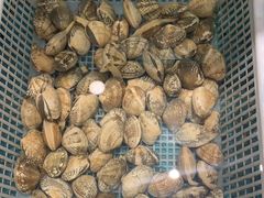 -周记老沈阳焦火鸡架