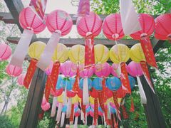 -合肥滨湖国家森林公园