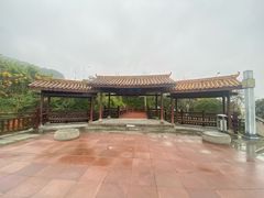 -铁山坪森林公园