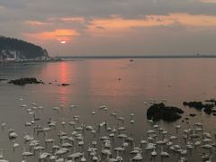 -烟墩角天鹅湖