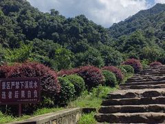 -庐山西海主景区