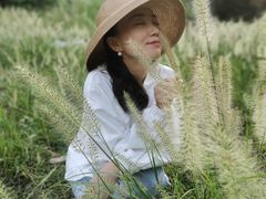 -杨家堂村