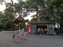 -大屏嶂森林公园