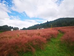 -名花谷生态庄园