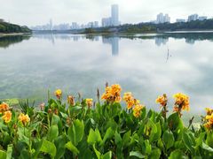 -南宁南湖公园