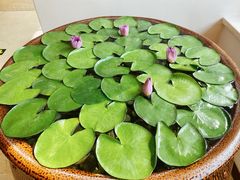 -第六季自助餐厅(甜水园店)