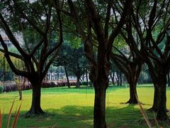 -顺峰山公园