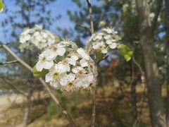 -大玩家(中原万达广场店)