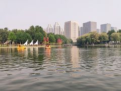 -裕华世纪公园