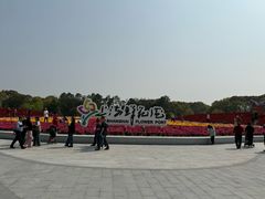 -上海鲜花港