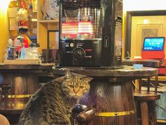 -云端咖啡私房店(河松街店)