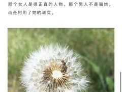 -儒圣教育外语培训