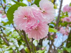 -眉山湿地公园(东坡区)