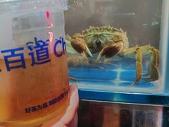 -二钳洞庭虾蟹·江湖菜(成都鹭岛店)