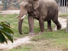 -西安秦岭野生动物园