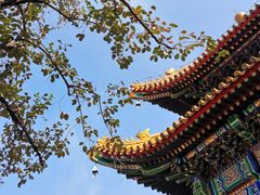 -大海碗·京菜炸酱面(雍和宫店)