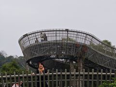 -福道