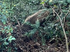 -敬亭山风景名胜区