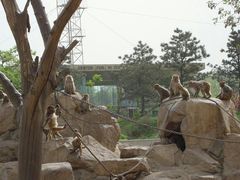 -西安秦岭野生动物园