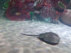 -沈阳海洋探索中心