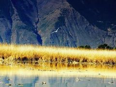 -大理洱源西湖景区