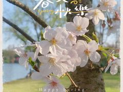 -上海共青森林公园