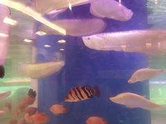-印象·浅水湾(百乐门大厦店)