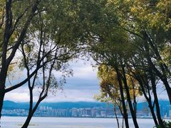 -洱海月湿地公园