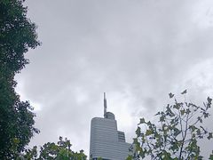 -紫峰大厦