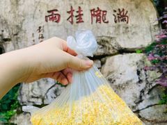 -杭州少年儿童公园