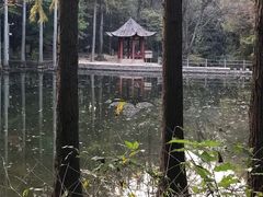 -波尔登森林公园