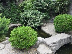 -台儿庄古城