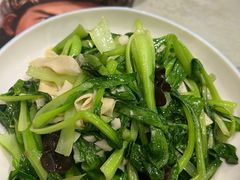 -风波庄(罍街分舵)