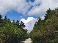 -白草畔自然风景区