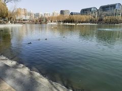 -中国农业博物馆