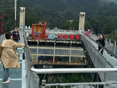 -梦幻奥陶纪景区