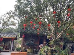 -青城甲(青城山店)