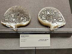 -清华大学艺术博物馆