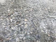 -虹口漂流