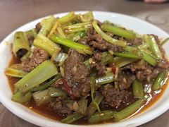 -鲁镇