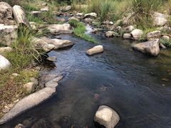 -罗田薄刀峰风景区