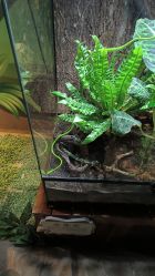 -酷嗒动物文化乐园(cutezoo西溪乐天城店)